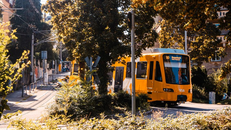 Zacke_2023_005_, © SMG Stuttgart Marketing GmbH - Sarah Schmid