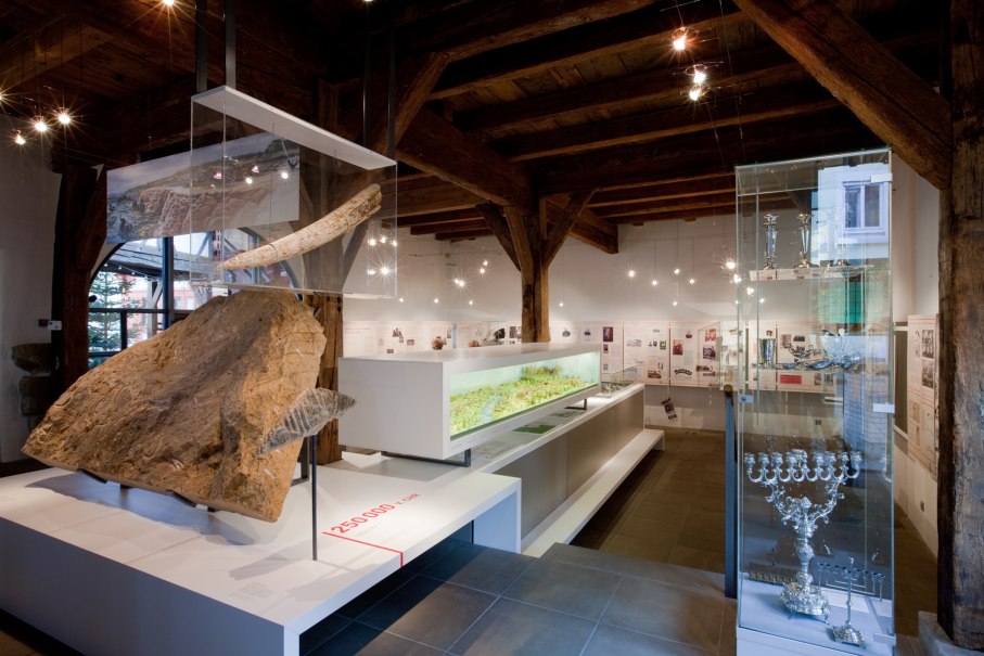 Das Stadtmuseum Bad Cannstatt zeigt historische Artefakte und Informationstafeln in einem modernen Ausstellungsraum mit Holzdecken und Glasvitrinen., © die arge lola, Kai Loges + Andreas Langen