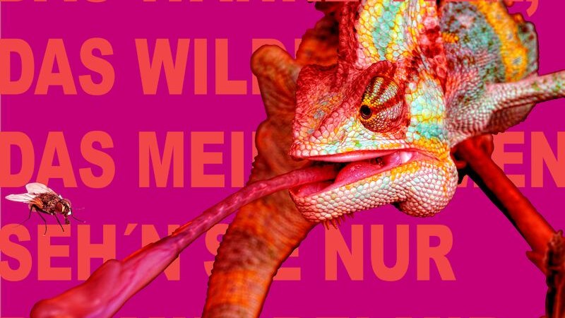 Lulu, © Wilhelma Theater