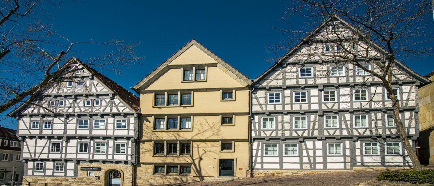 Three half-timbered houses on the market square in Böblingen, surrounded by bare trees and a bright blue sky., © SMG Stuttgart Marketing GmbH - Sarah Schmid