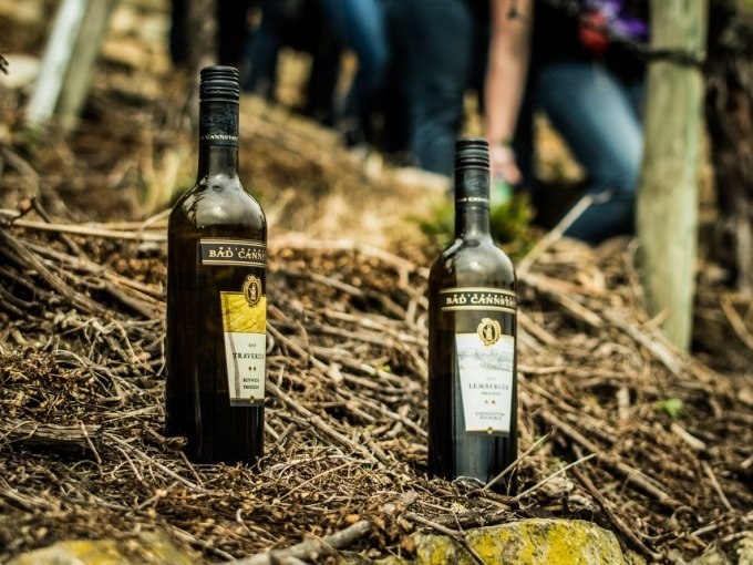 Weinsafari, © Cool-Tours StattReisen Weinsafari, © Cool-Tours StattReisen