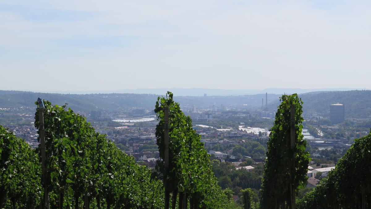 Vines in the foreground, behind them a town in a valley, surrounded by hills and a clear sky., &copy; Stuttgart-Marketing GmbH