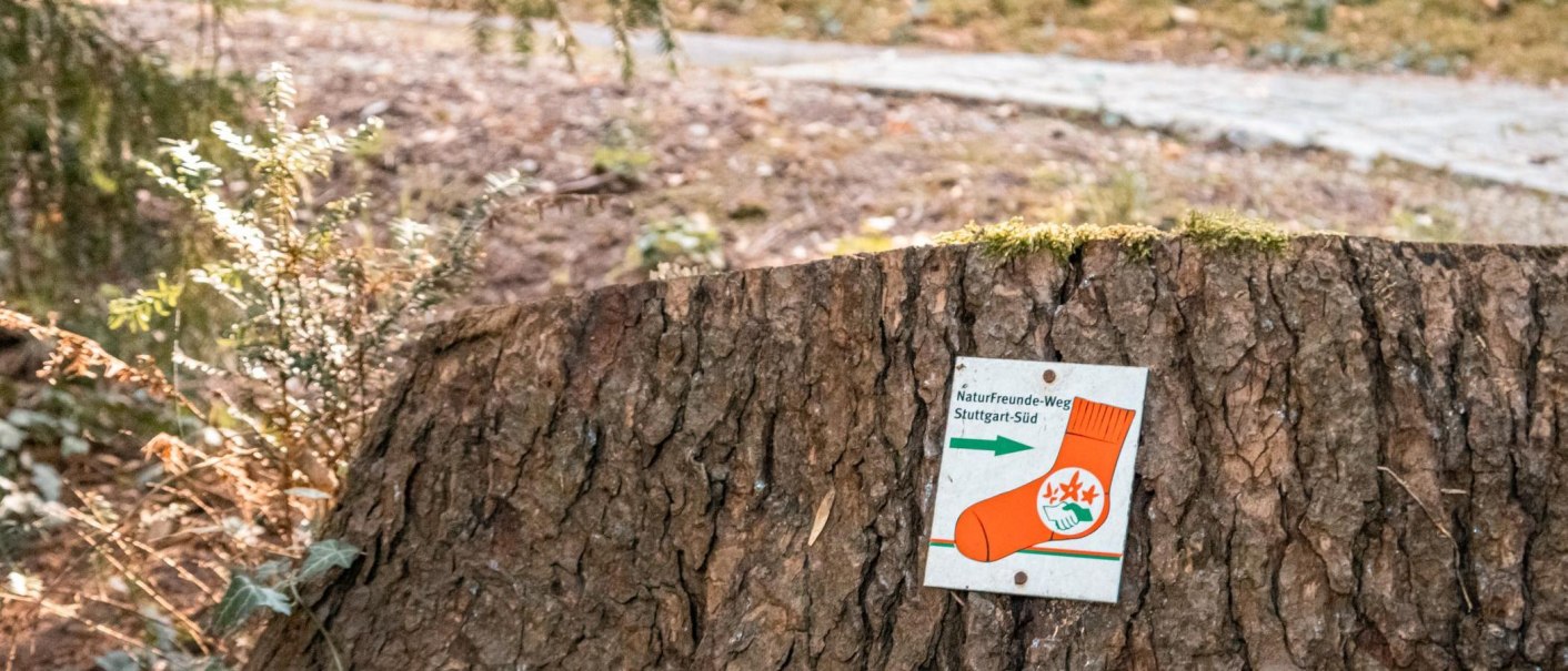 Schild mit roter Socke auf Baumstumpf im Wald, markiert den NaturFreunde-Weg Stuttgart-Süd., © Stuttgart Marketing GmbH, Sarah Schmid