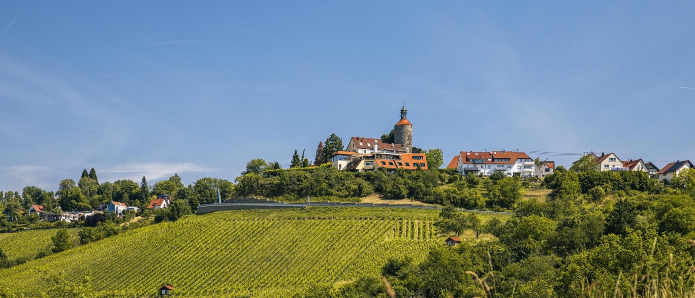 Vineyards stretch out against the picturesque backdrop of the castle in Winnenden, surrounded by houses and trees under a clear sky., © SMG Stuttgart Marketing GmbH - Sarah Schmid Vineyards stretch out against the picturesque backdrop of the castle in Winnenden, surrounded by houses and trees under a clear sky., © SMG Stuttgart Marketing GmbH - Sarah Schmid
