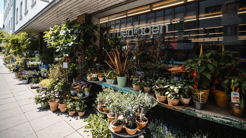 Ein Blumenladen mit vielen Pflanzen und Blumen in Töpfen vor dem Schaufenster. Die Fassade ist mit einem Gitter überdacht., © SMG Stuttgart Marketing GmbH - Sarah Schmid Ein Blumenladen mit vielen Pflanzen und Blumen in Töpfen vor dem Schaufenster. Die Fassade ist mit einem Gitter überdacht., © SMG Stuttgart Marketing GmbH - Sarah Schmid