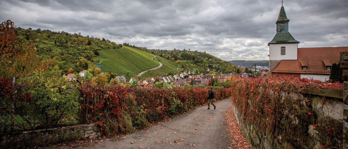 A path in Obertürkheim, lined with red vines, leads to a church. Green vineyards and a cloudy sky can be seen in the background., © Stuttgart-Marketing GmbH