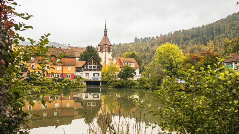 Town lake in Bad Liebenzell with colorful houses and church tower, surrounded by autumnal trees. Reflection in the water, framed by green bushes., © SMG, Sarah Schmid Town lake in Bad Liebenzell with colorful houses and church tower, surrounded by autumnal trees. Reflection in the water, framed by green bushes., © SMG, Sarah Schmid