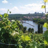 From Lake Max-Eyth to Mühlhausen, © Stuttgart-Marketing GmbH