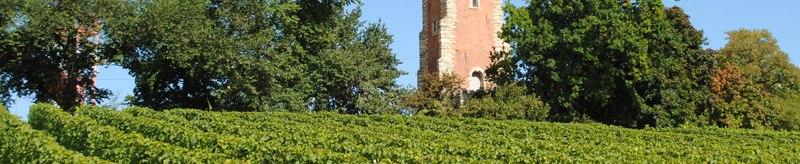 Peter Mayer Winery, © Weingut Peter Mayer