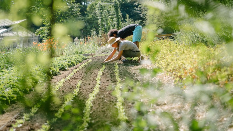 Gaernter-bei-der-Arbeit-WALA, &copy; Die Bilder sind urheberrechtlich gesch&uuml;tzt. Nutzungsrechte bitte vor Verwendung anfragen.