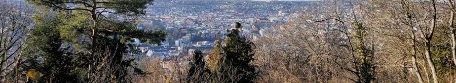 Blick von einem bewaldeten Hügel auf eine Stadt im Tal, umgeben von kahlen Bäumen und einem klaren blauen Himmel., © SMG