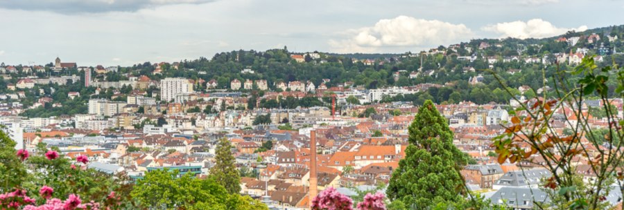 Panoramic view from the Karlsh&ouml;he in Stuttgart, with blooming pink flowers in the foreground and a green, hilly cityscape in the background., &copy; SMG, Jessica Niederges&auml;ss