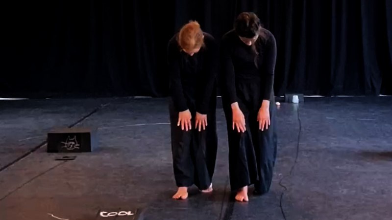 Zwei Personen in schwarzer Kleidung verbeugen sich auf einer Bühne mit dunklem Hintergrund., © FITZ Das Theater animierter Formen