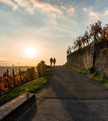 Zwei schemenhafte Personen spazieren auf einem Weinwanderweg, fotografiert im Gegenlicht der tiefstehenden Sonne. Links und rechts des Weges sind Weinreben mit buntem Herbstlaub., © SMG, Frank Hoerner