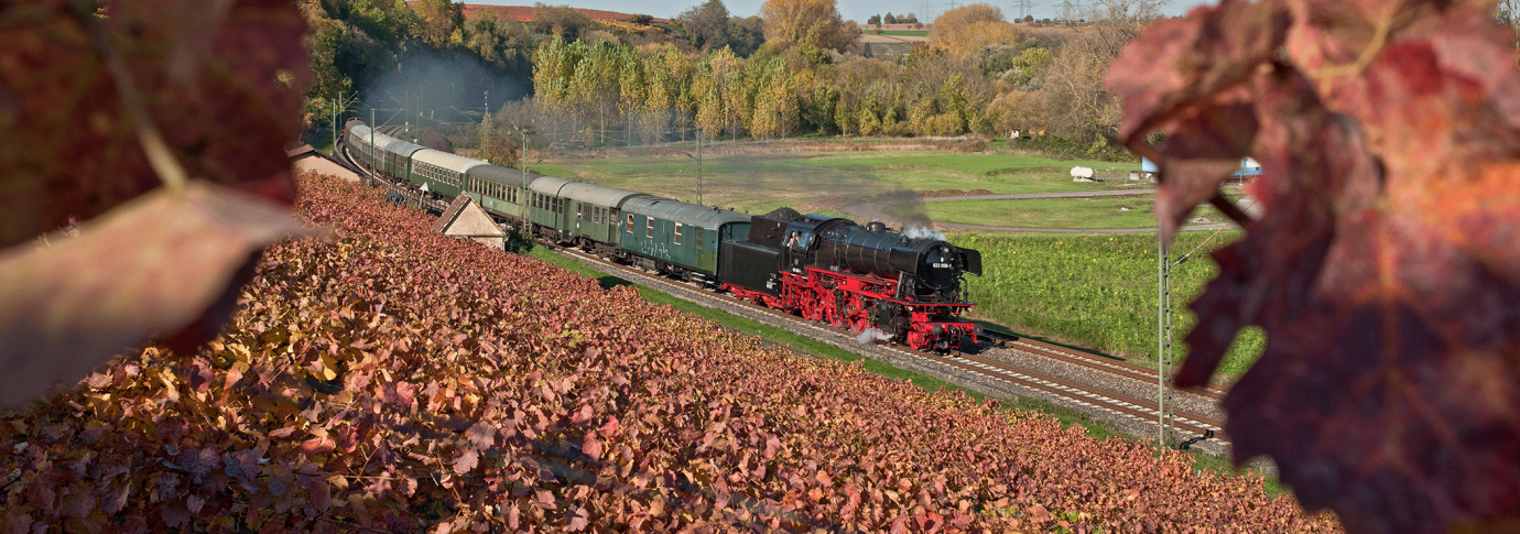 Eine Dampflok zieht einen Zug durch eine herbstliche Landschaft mit bunten Weinbergen und Bäumen., © DBK Historische Bahn e.V.