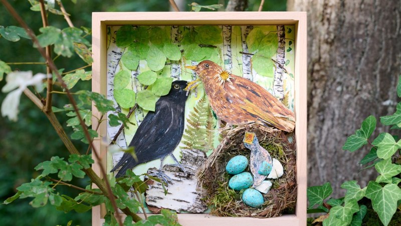 Ein gerahmtes Kunstwerk zeigt zwei Vögel und ein Nest mit blauen Eiern vor einem Waldhintergrund, umgeben von Blättern und Ästen., © Mitaly Mukherjee Ein gerahmtes Kunstwerk zeigt zwei Vögel und ein Nest mit blauen Eiern vor einem Waldhintergrund, umgeben von Blättern und Ästen., © Mitaly Mukherjee