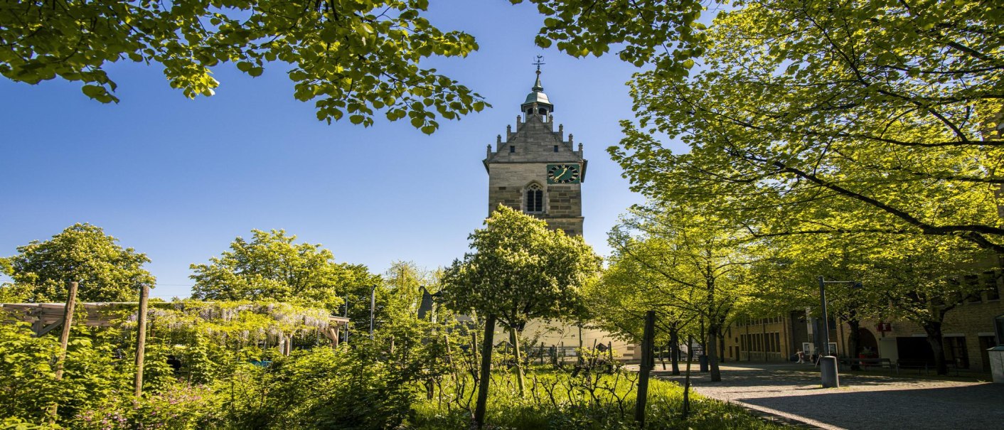 A church tower in Fellbach rises up between green trees under a clear blue sky. The surroundings are peaceful and inviting., © SMG Stuttgart Marketing GmbH - Sarah Schmid