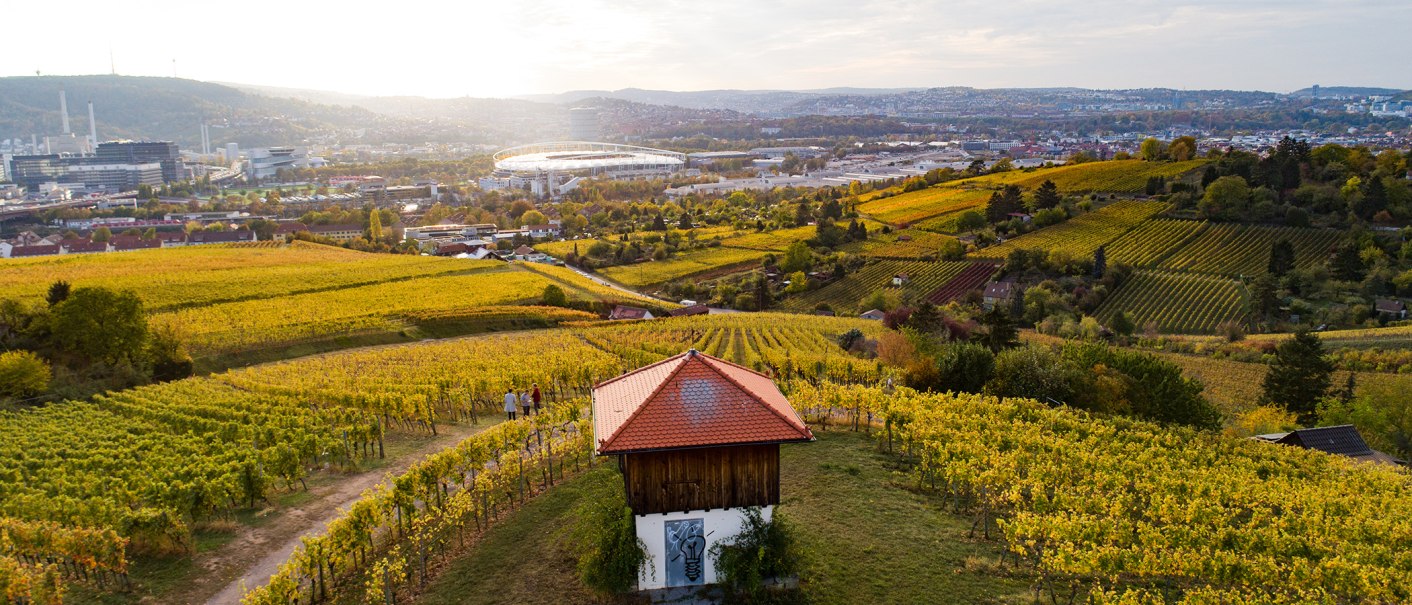 Vineyards in the foreground with a small building. A cityscape with a stadium and hills can be seen in the background., © Weingut Wöhrwag Vineyards in the foreground with a small building. A cityscape with a stadium and hills can be seen in the background., © Weingut Wöhrwag