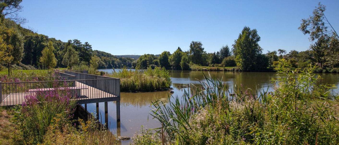 A tranquil river with a wooden platform and lush vegetation in the foreground, surrounded by trees under a clear blue sky., &copy; &copy; Stuttgart-Marketing GmbH