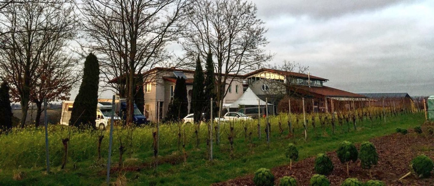 Häußer Hof Winery, © Weingut Häußer Häußer Hof Winery, © Weingut Häußer