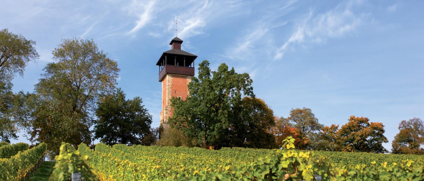 Der Burgholzhof Aussichtsturm erhebt sich über Weinreben, umgeben von Bäumen, unter einem klaren blauen Himmel., © Stuttgart-Marketing GmbH, Achim Mende