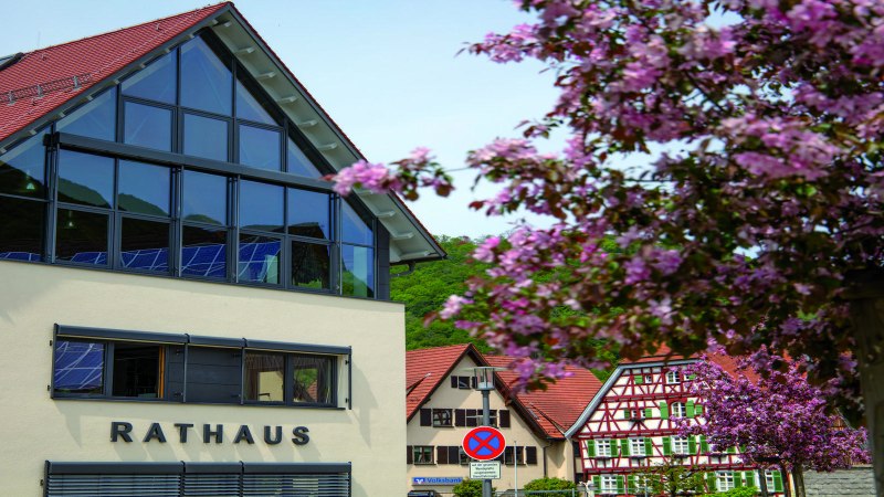 The modern town hall of Bad Ueberkingen with large windows and red roof. Flowering trees in the foreground, traditional half-timbered houses in the background., © Stuttgart-Marketing GmbH The modern town hall of Bad Ueberkingen with large windows and red roof. Flowering trees in the foreground, traditional half-timbered houses in the background., © Stuttgart-Marketing GmbH