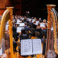 An orchestra plays on a stage, with two harps in the foreground. The conductor stands in front of the musicians, who are reading sheet music., © Stuttgarter Philharmoniker An orchestra plays on a stage, with two harps in the foreground. The conductor stands in front of the musicians, who are reading sheet music., © Stuttgarter Philharmoniker