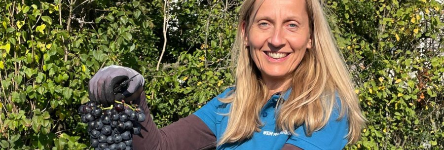 Frau mit blonden Haaren hält Trauben in der Hand, lächelt in die Kamera. Sie trägt ein blaues Shirt, im Hintergrund sind grüne Büsche zu sehen., © weinvomhaigst