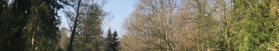 A woodland cemetery with a green meadow surrounded by tall trees. A large cross can be seen in the background., &copy; Stuttgart-Marketing GmbH