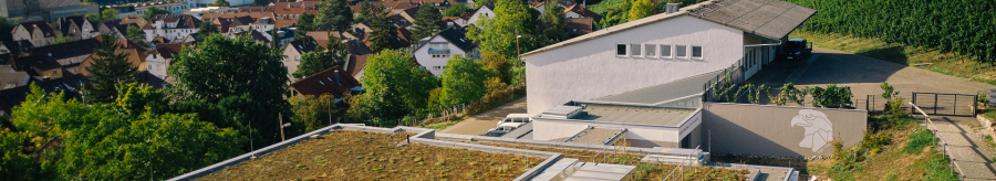 Buildings with green roofs and vineyards in the background. The city stretches all the way to the hills., © TeamWerk Esslingen Buildings with green roofs and vineyards in the background. The city stretches all the way to the hills., © TeamWerk Esslingen