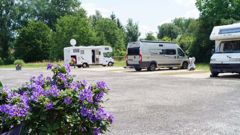 Motorhomes on a parking space in N&uuml;rtingen, surrounded by trees. Purple flowers blooming in the foreground., &copy; Stadt N&uuml;rtingen, Clint Metzger
