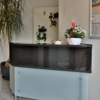 Ein moderner Rezeptionstresen mit einer Pflanze und Dekoration. An der Wand hängt ein Informationsbrett. Der Boden ist gefliest., © Feuerbacher Hof