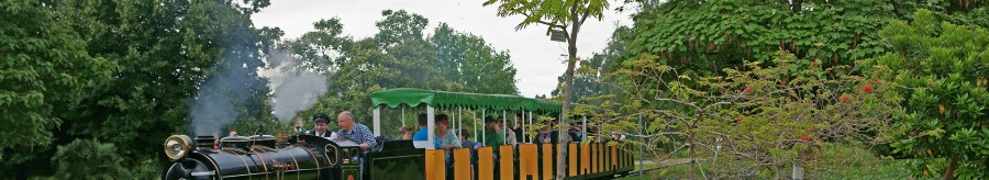 Eine kleine Dampflokomotive zieht bunte Waggons durch einen grünen Park mit Bäumen und Blumen., © Andreas Pucka