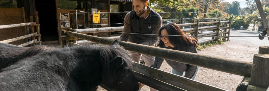 Favorite_quarter_North_Killesberg_Petting_Zoo_2025_133_c_SMG_Sarah_Schmid, &copy; Stuttgart-Marketing GmbH, Sarah Schmid