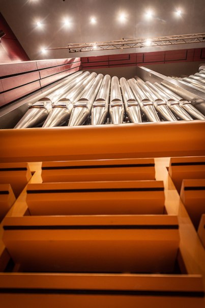 Students in the organ classes, &copy; Oliver R&ouml;ckle