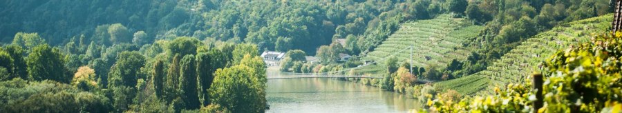 View of a river landscape with a bend, surrounded by green vineyards and dense forest., &copy; Weingut Zai&szlig;erei