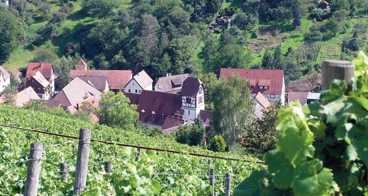 Village with half-timbered houses surrounded by vineyards and green hills, taken from the Rohracker wine trail., © Stuttgart-Marketing GmbH Village with half-timbered houses surrounded by vineyards and green hills, taken from the Rohracker wine trail., © Stuttgart-Marketing GmbH