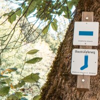 Ein Wegweiser am Baum zeigt den Blaustr&uuml;mpflerweg an. Der Hintergrund ist ein dichter, gr&uuml;ner Wald., &copy; Stuttgart Marketing GmbH, Sarah Schmid