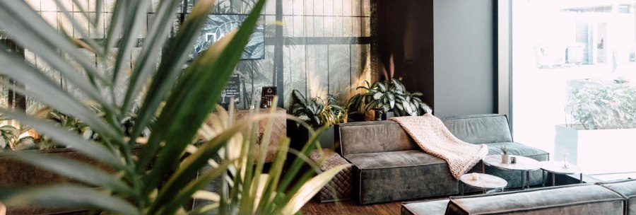 Ein gemütlicher Loungebereich mit grünen Sofas, Pflanzen und einem großen Fenster. Ein gestricktes Plaid liegt auf einem Sofa., © Malo Stuttgart - Lea Prestle