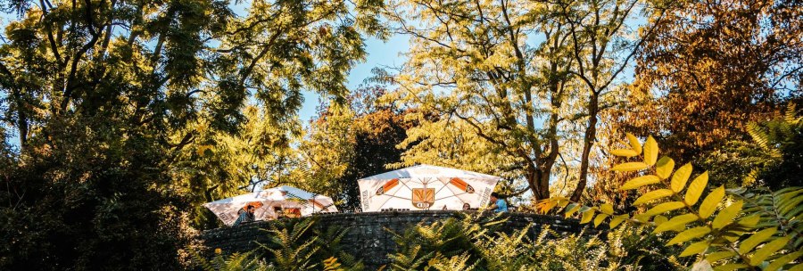 Sonnenschirme auf einer Terrasse, umgeben von üppigem Grün und hohen Bäumen, die im Sonnenlicht leuchten., © Stuttgart Marketing GmbH, Sarah Schmid Sonnenschirme auf einer Terrasse, umgeben von üppigem Grün und hohen Bäumen, die im Sonnenlicht leuchten., © Stuttgart Marketing GmbH, Sarah Schmid