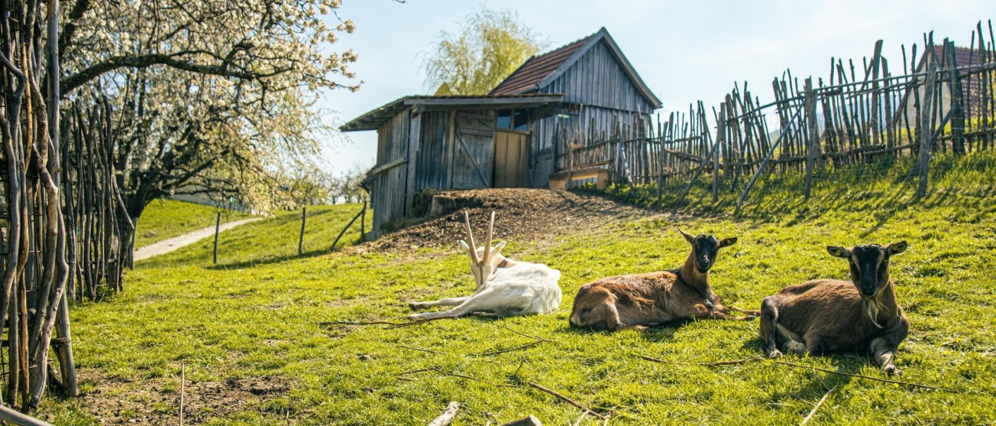 Beuren_Freilichtmuseum_2025_066_c_SMG_Sarah_Schmid, &copy; SMG Stuttgart Marketing GmbH - Sarah Schmid