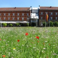 Das Hotel nestor Ludwigsburg mit einer bl&uuml;henden Wiese im Vordergrund. Im Hintergrund ist das historische Geb&auml;ude mit roten Ziegeln zu sehen., &copy; nestor Hotel Ludwigsburg