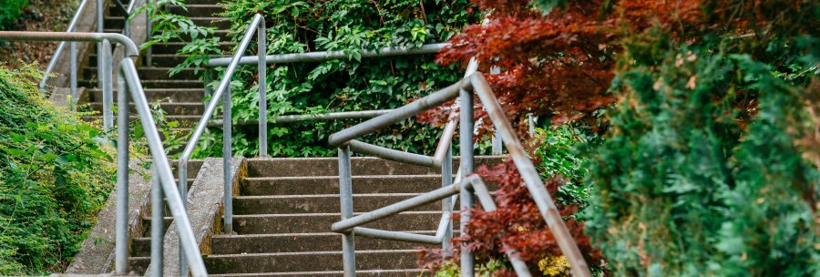 &copy; Thomas Niederm&uuml;ller