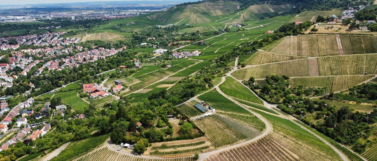 Luftaufnahme eines weitläufigen Weinbergs mit angrenzenden Wohnhäusern und Hügeln im Hintergrund. Die Landschaft ist grün und hügelig., © Weingut Schwarz Luftaufnahme eines weitläufigen Weinbergs mit angrenzenden Wohnhäusern und Hügeln im Hintergrund. Die Landschaft ist grün und hügelig., © Weingut Schwarz