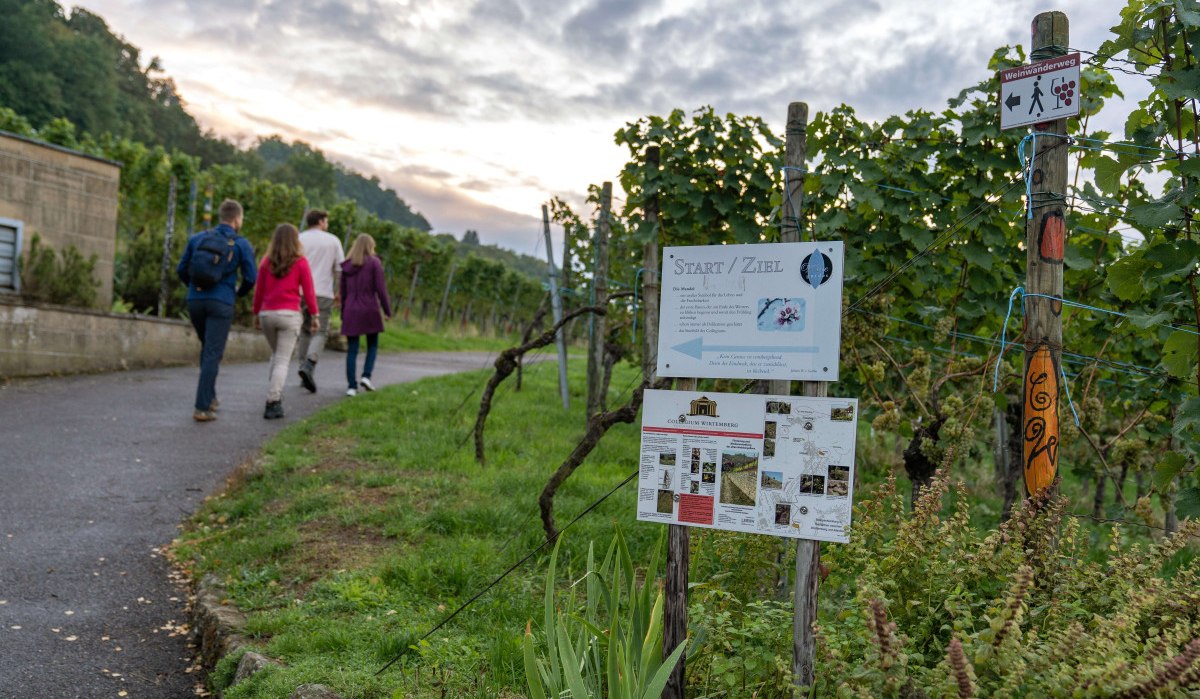 Four people walk along a path through vineyards. Signs mark the start/finish of the wine trail., &copy; Stuttgart-Marketing GmbH, Martina Denker