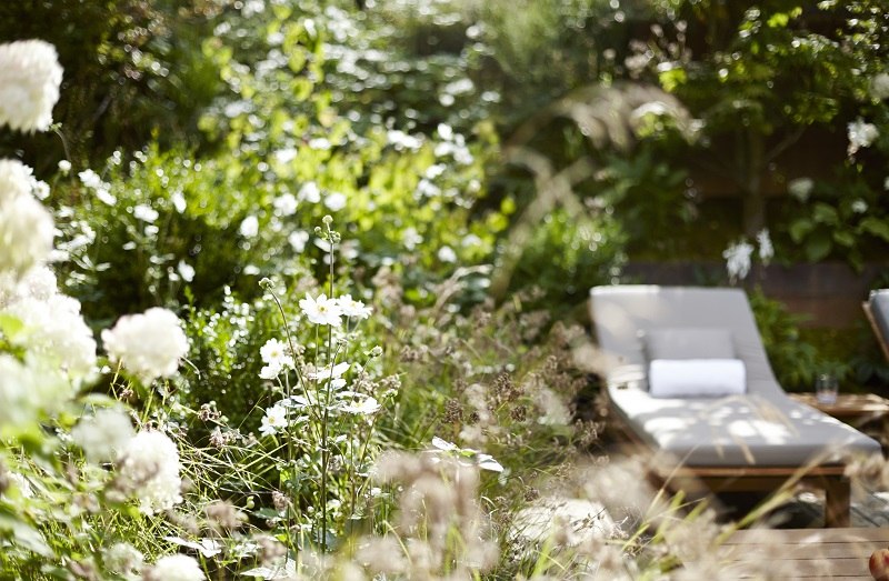 Sunny terrace with sun lounger, surrounded by lush vegetation and blooming white flowers in the sauna area., © Waldhotel Stuttgart GmbH Sunny terrace with sun lounger, surrounded by lush vegetation and blooming white flowers in the sauna area., © Waldhotel Stuttgart GmbH