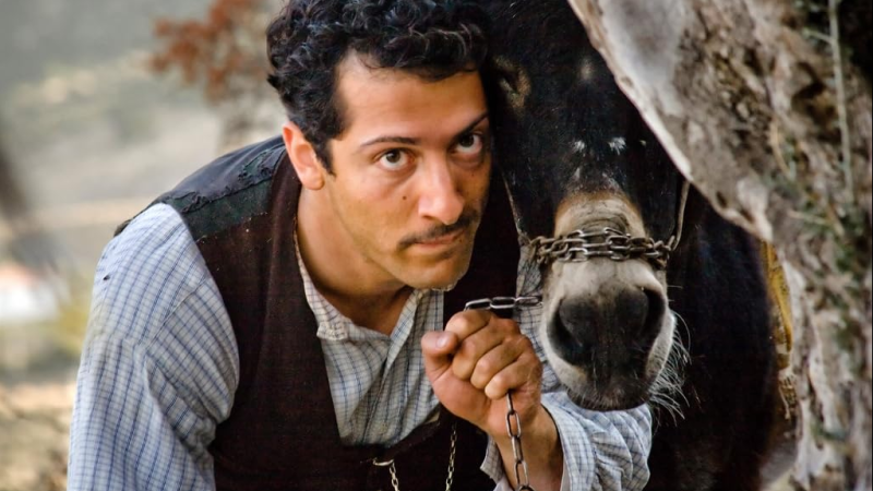 Filmbild zum Film "Almanya - Willkommen in Deutschland", © Leonine