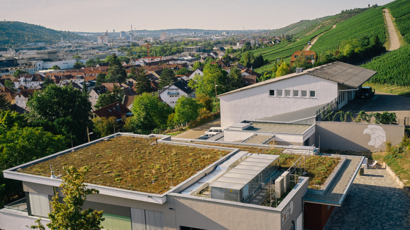 Geb&auml;ude mit begr&uuml;nten D&auml;chern und Weinberge im Hintergrund. Die Stadt erstreckt sich bis zu den H&uuml;geln., &copy; TeamWerk Esslingen