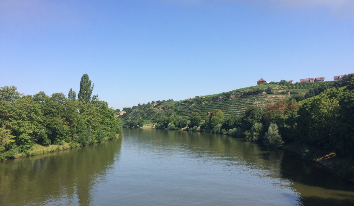 River with green banks and vineyards in the background under a clear blue sky., © Stuttgart-Marketing GmbH