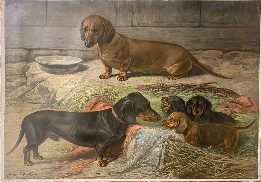 Dackelfamilie des Tiermalers August Specht, © Stadtarchiv Stuttgart 9050/01007 Dackelfamilie des Tiermalers August Specht, © Stadtarchiv Stuttgart 9050/01007